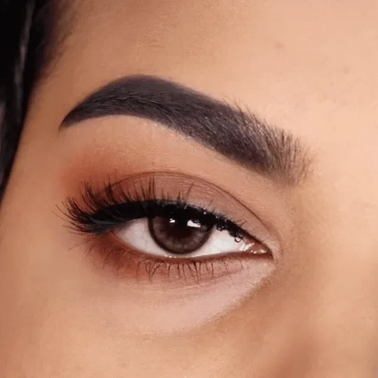 bold false lashes and bold look lashes