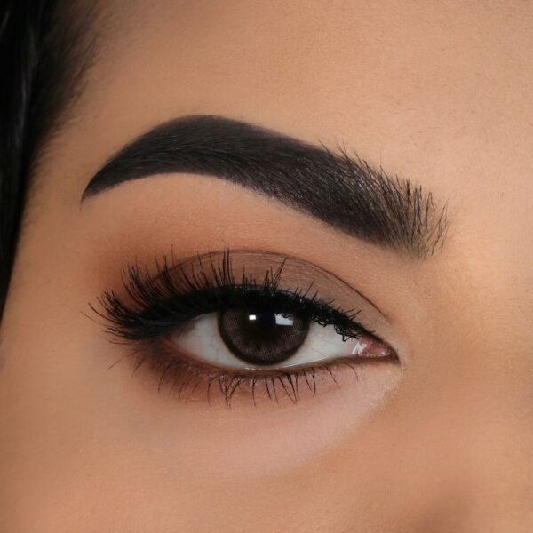 bold false lashes and bold look lashes