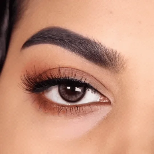 layered lashes and reusable 3d lashes
